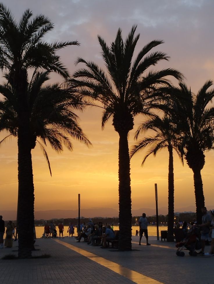 palm trees are silhouetted against the setting sun on a beachfront walkway with people sitting and walking