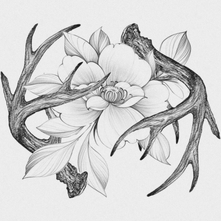 a drawing of flowers and antlers on a white background