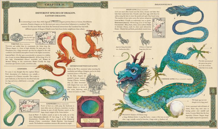 an illustrated book with different types of dragon