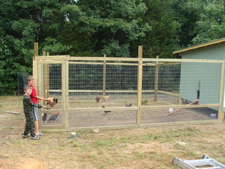 a young boy standing in front of a chicken coop