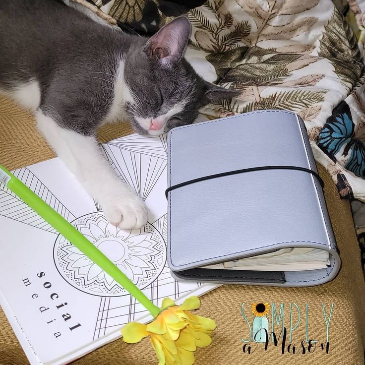 a gray and white cat laying on top of a book next to a flower pot