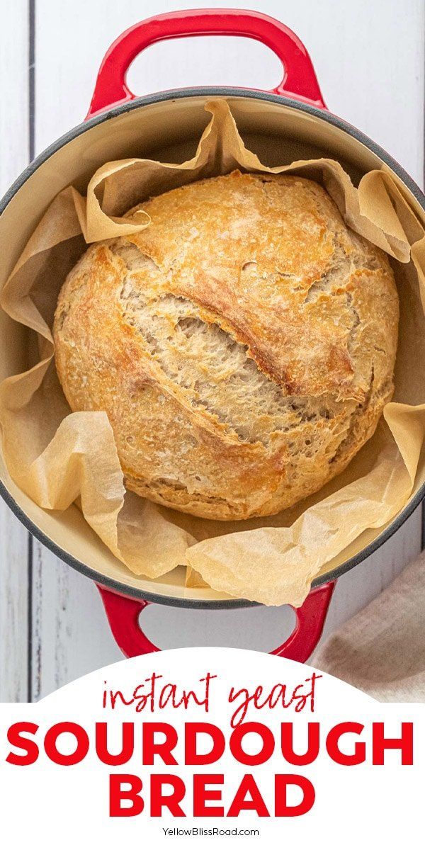 an instant yeast sourdough bread in a red dutch oven