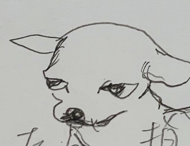 a drawing of a dog with chinese writing on it's face and nose,