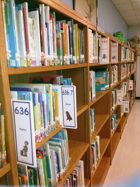 there are many books on the shelves in this library and one is for children to read