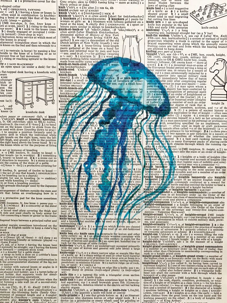 a blue jellyfish on an old book page