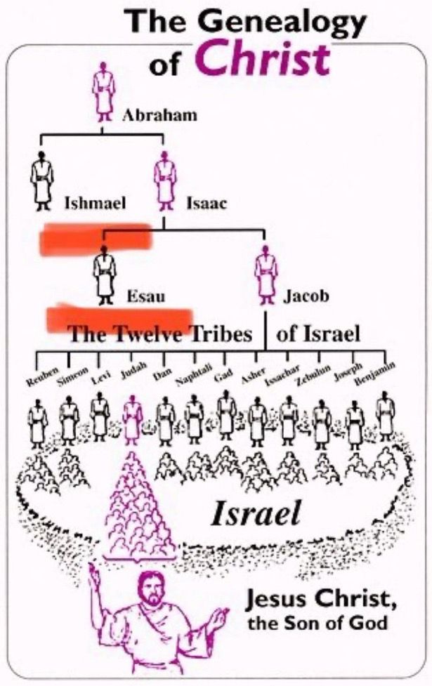 an image of the bible's biblical tree