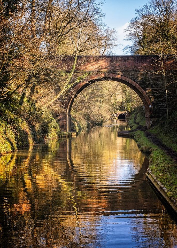 an arched brick bridge over a river with trees lining the sides and water below it