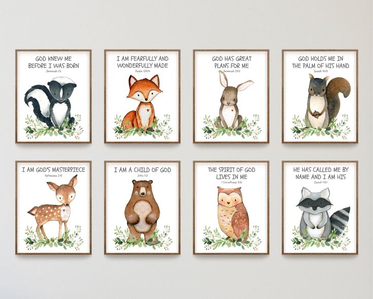 six cards with different types of animals on them