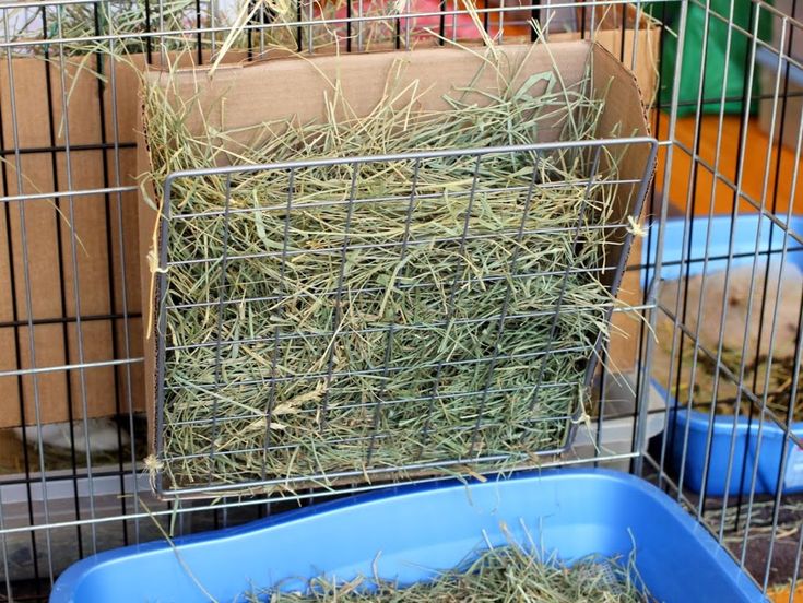 two cages with hay in them and one cage is filled with other small animal items