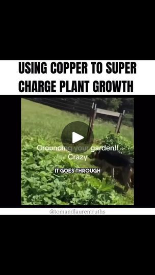 the video shows how to use copper to super charge plant growth