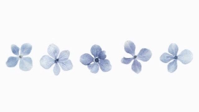 four blue flowers are arranged in a row