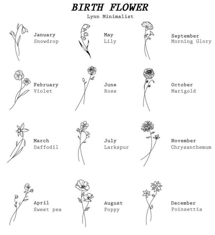 the birth flower chart is shown in black and white