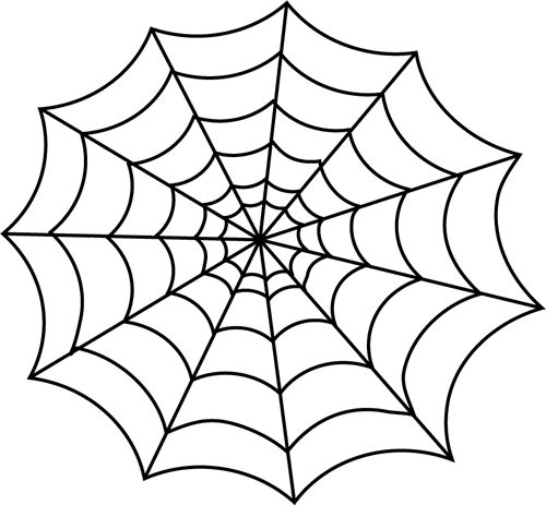 a spider web on a white background