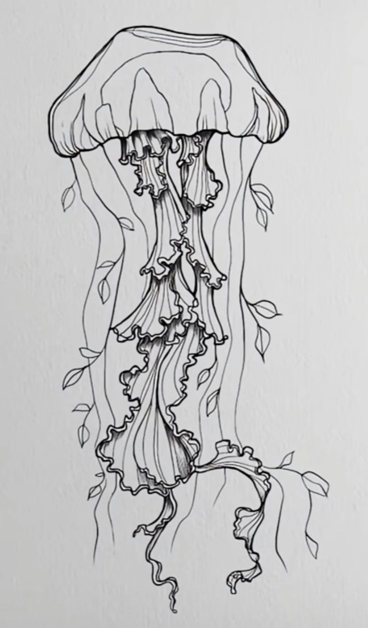 a drawing of a jellyfish with leaves on it's back and its head in the water