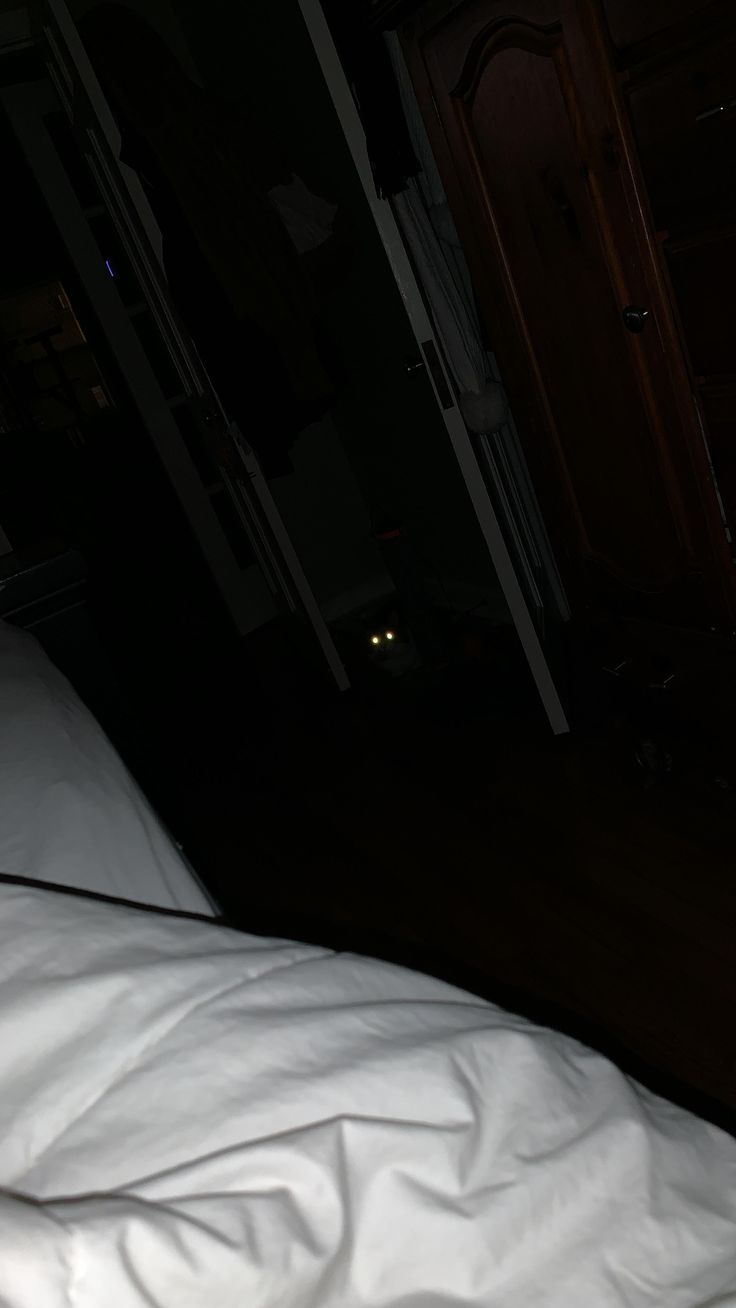 an unmade bed in a dark room with white sheets on it and a cat staring at the camera