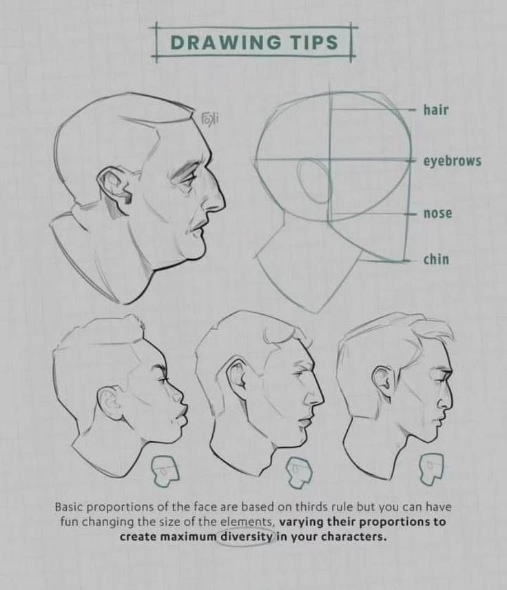 drawing tips for the head and neck, with instructions on how to draw heads in perspective