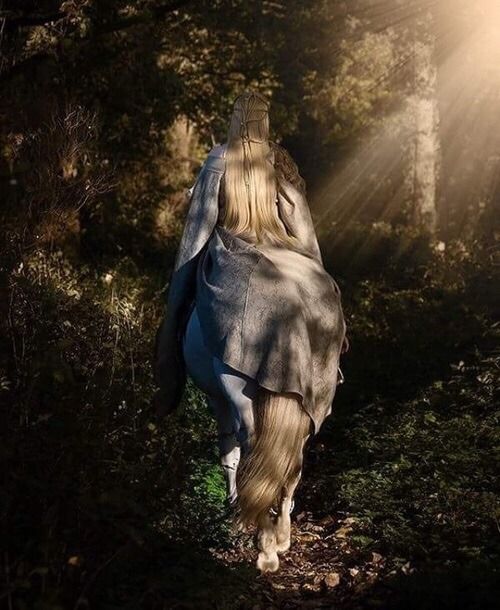 the back end of a horse with its tail in the air as it walks through some trees