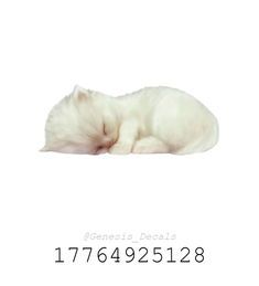 a white cat sleeping on top of a table next to the numbers 1, 2, 3 and 4