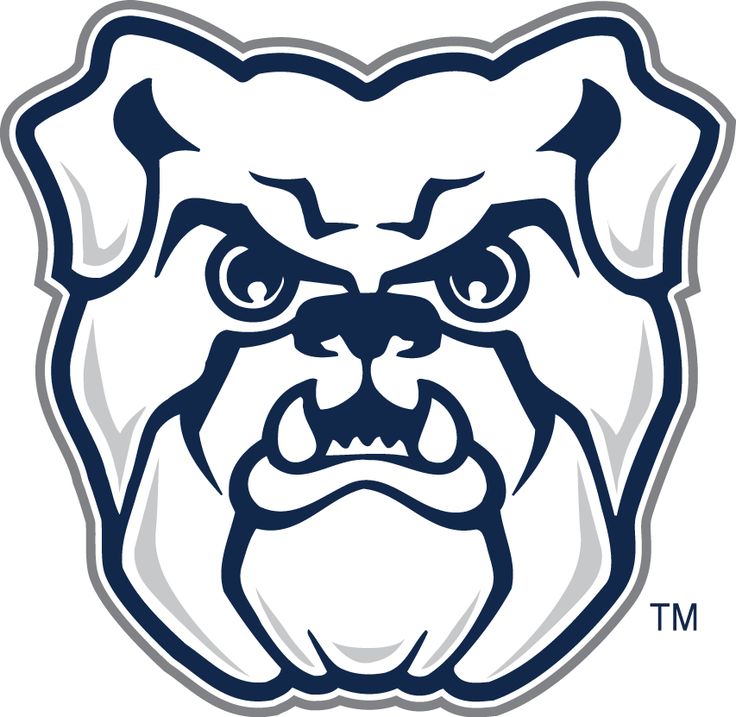 an angry bulldog's face with the word mt on it in blue and white