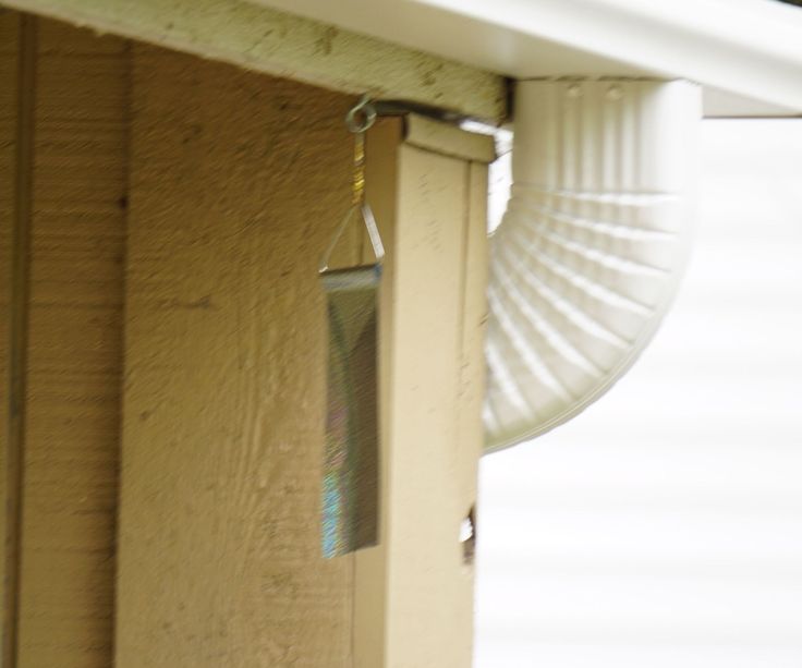 a bird is hanging from the side of a house