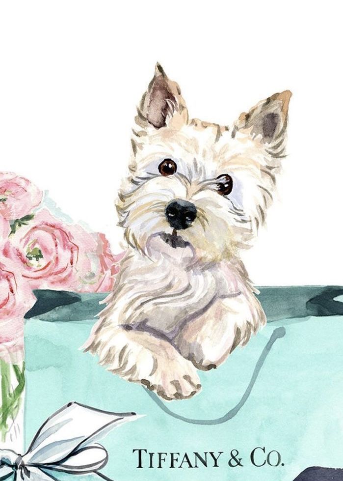 a watercolor painting of a small dog with flowers in it's mouth and the words tiffany & co written below