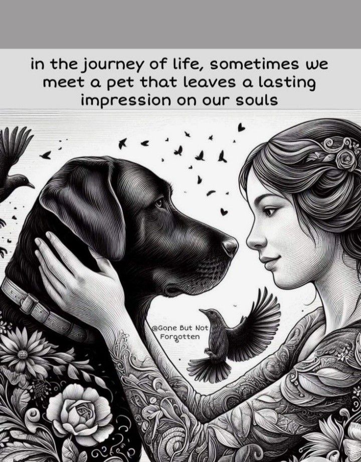 Dog Heaven Quotes, Miss My Dog, Dog Poems, Animal Tattoo Ideas, Radical Acceptance, Dog Quotes Love, Pet Bereavement, Dog Heaven, American Cocker Spaniel