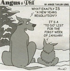 a dog sitting next to another dog in the snow with an expression that reads, what exactly is a new years resolution? it's a to do list for the first week of january