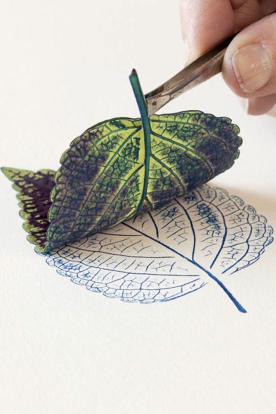 a person is cutting out a leaf with scissors