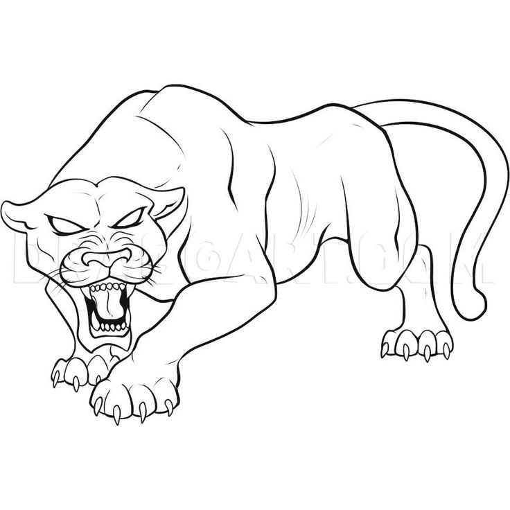 a drawing of a panther with its mouth open