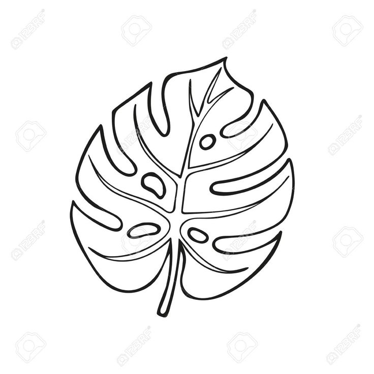 a black and white line drawing of a monster leaf on a white background stock photo