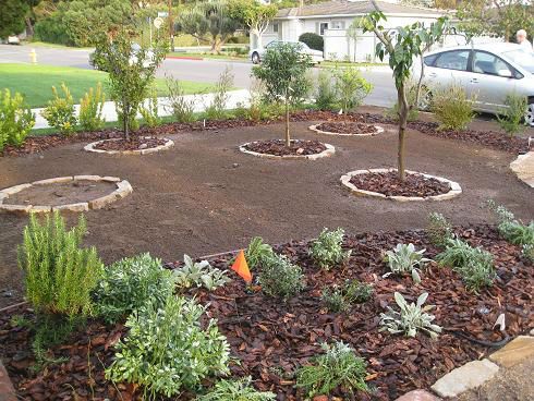 a car is parked in the middle of a flower bed with trees and shrubs around it