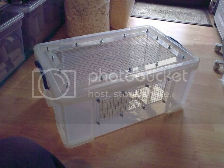 a cat laying on the floor next to a plastic crate with it's door open