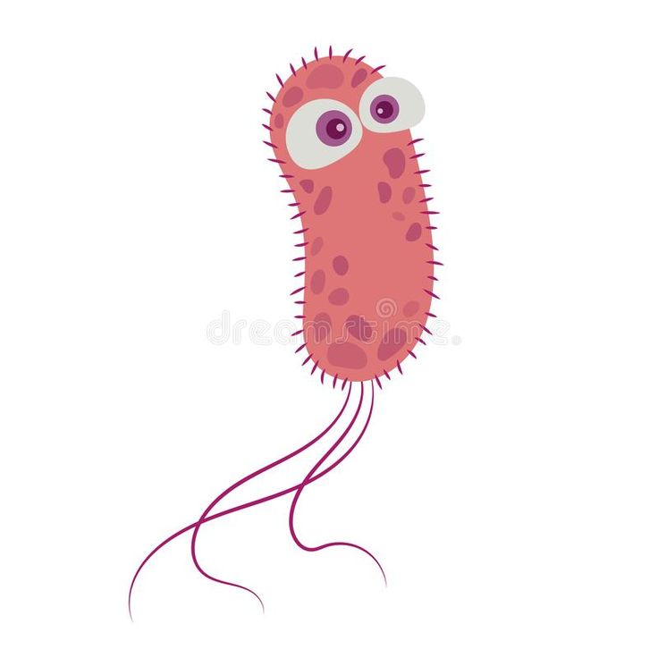 an animal with big eyes and long legs on a white background royalty illustration stock illustration