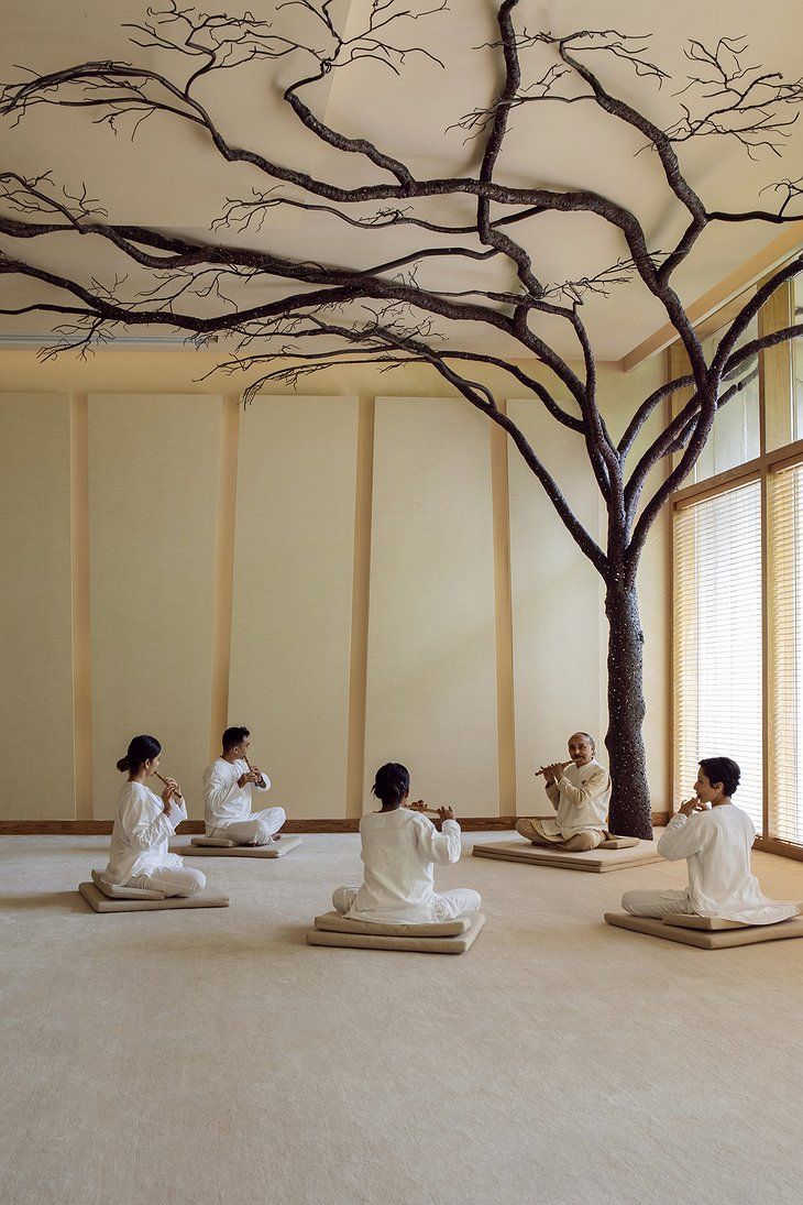 five people in white robes sitting on mats under a tree with no leaves and one person holding a cell phone