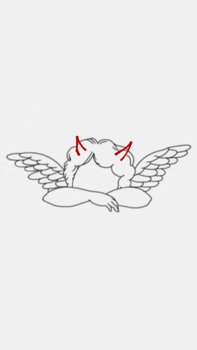 an image of two birds with red arrows pointing to the left and right side of their wings