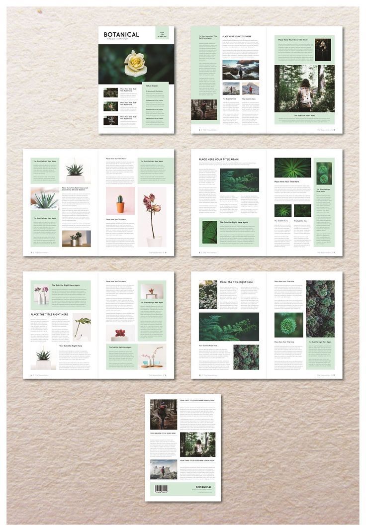 an image of the inside pages of a brochure with photos and text on it