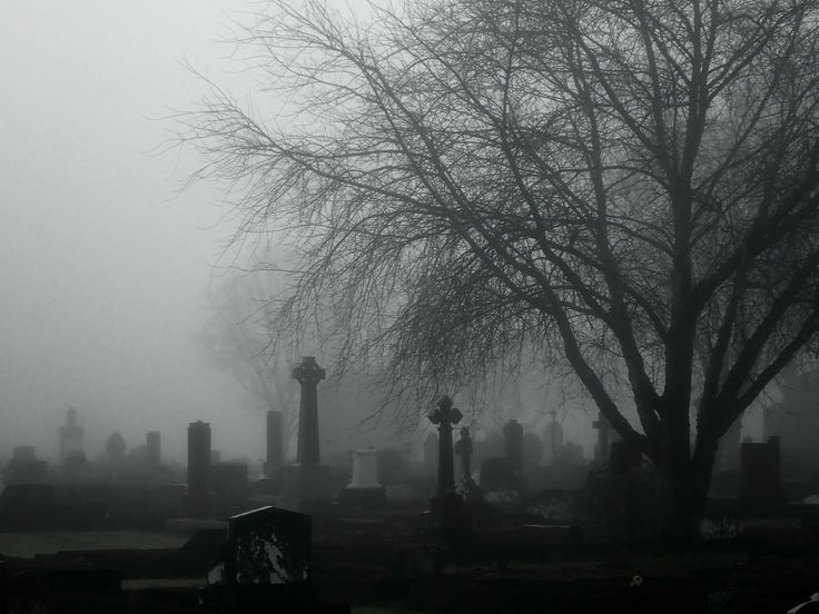 foggy graveyard with tombstones and trees in the foreground on a gloomy day