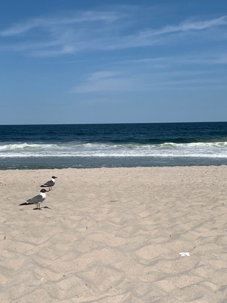 three seagulls are standing on the sand at the beach