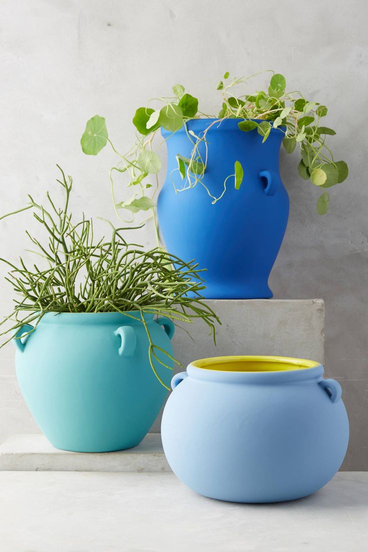 three pots with plants in them sitting next to each other on a table, one blue and the other yellow