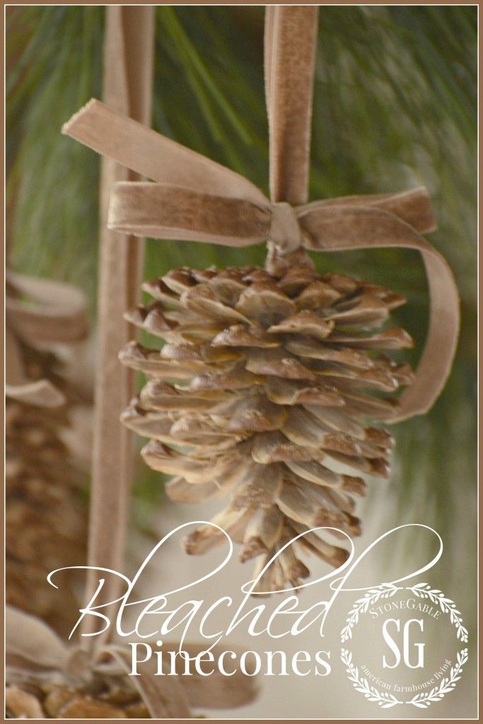 a pine cone ornament hanging from a tree branch with the words blended pinecones on it