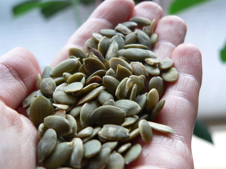 a person holding some kind of seeds in their hand