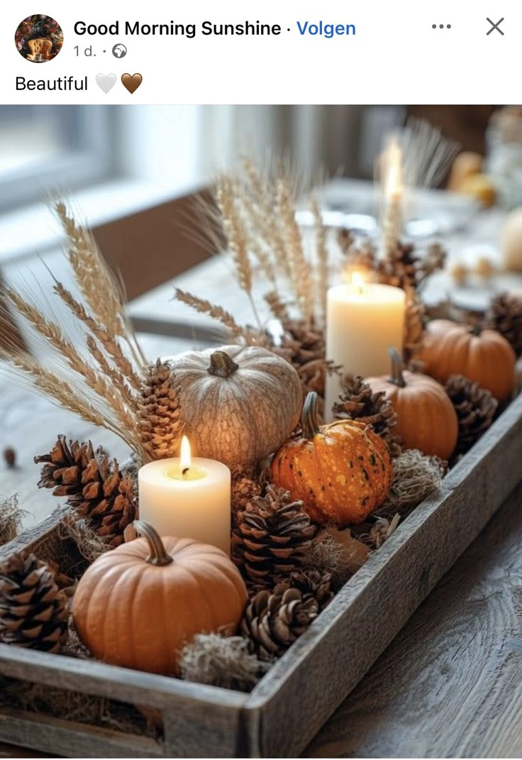 a tray filled with candles and pumpkins on top of a table