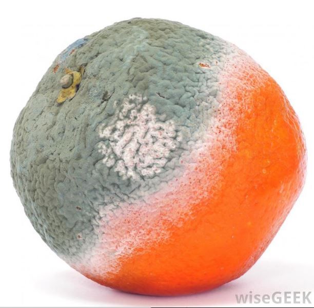 an orange that has been washed and sitting on a white surface