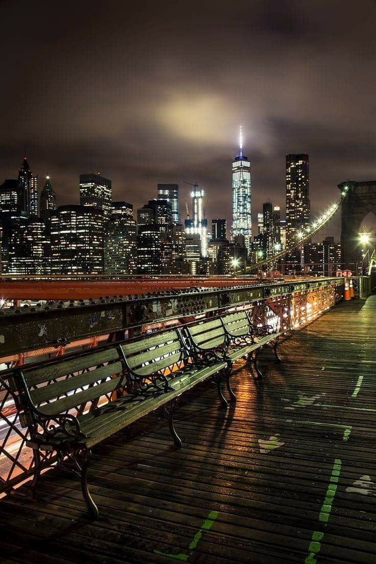 two benches on a pier with the city lights in the background