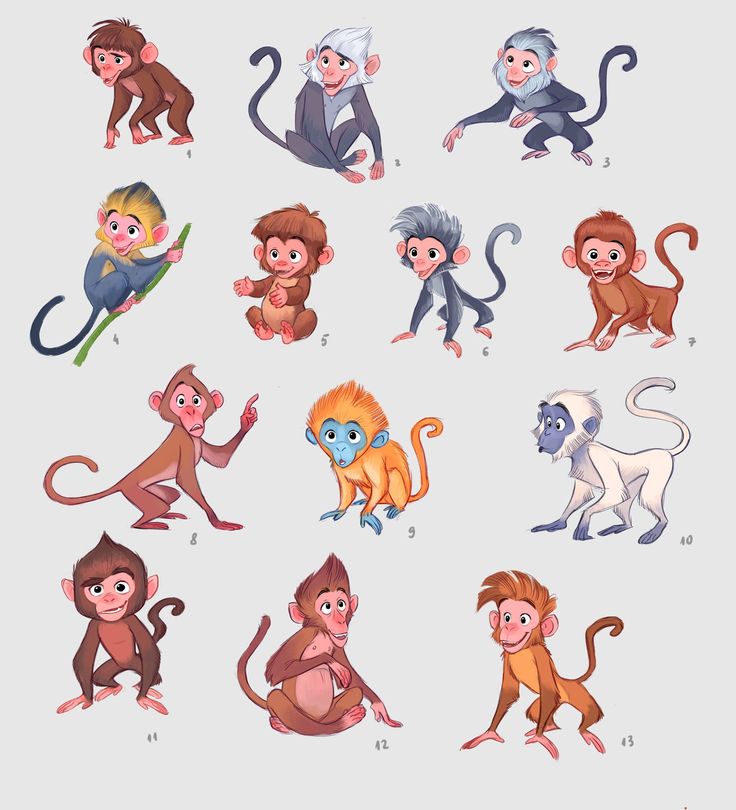 twelve monkeys with different facial expressions on their faces and body, including one monkey in the middle