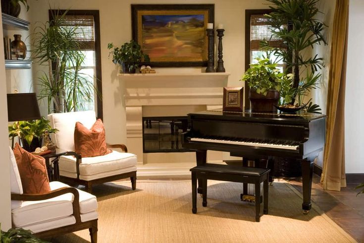 a living room filled with furniture and a piano in front of a fire place surrounded by potted plants