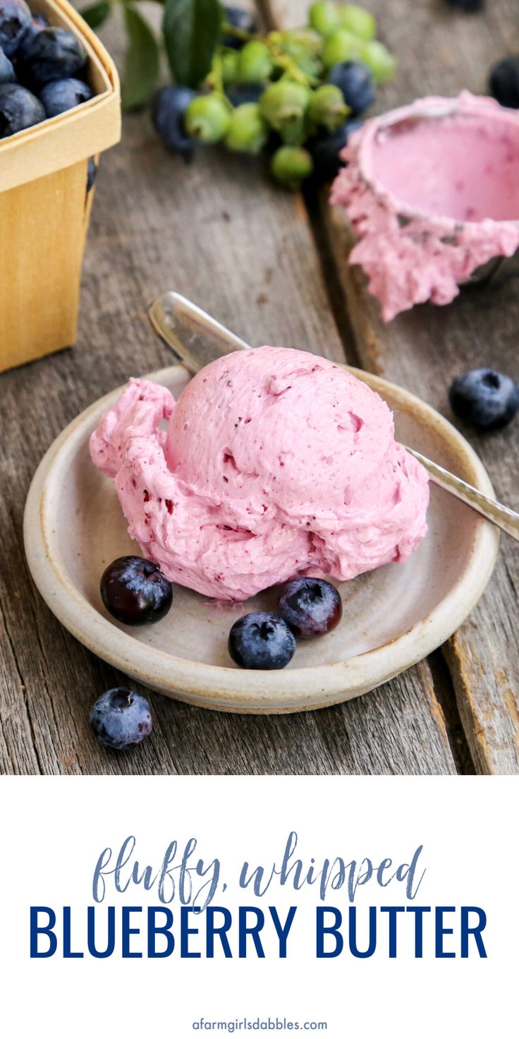 blueberry ice cream on a white plate with fresh blueberries and grapes in the background