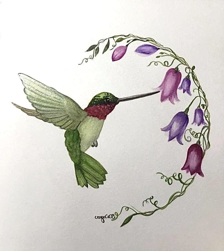 a drawing of a hummingbird in flight with purple and green flowers around it's neck