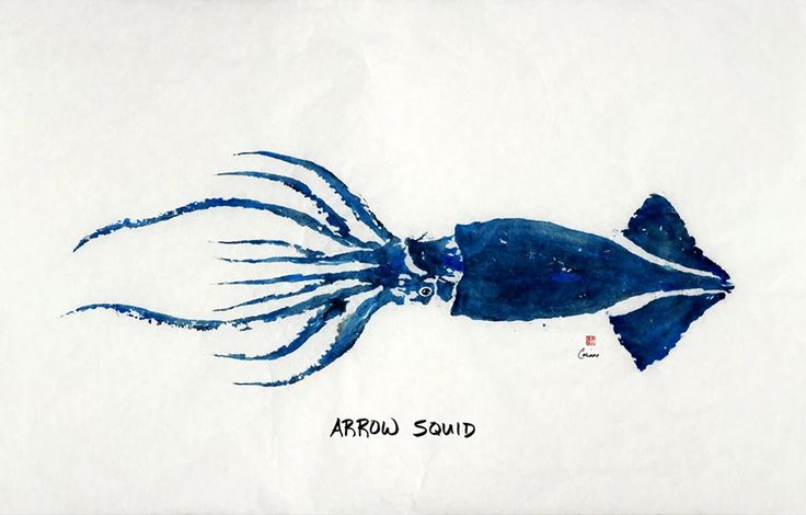 a drawing of a blue squid on white paper