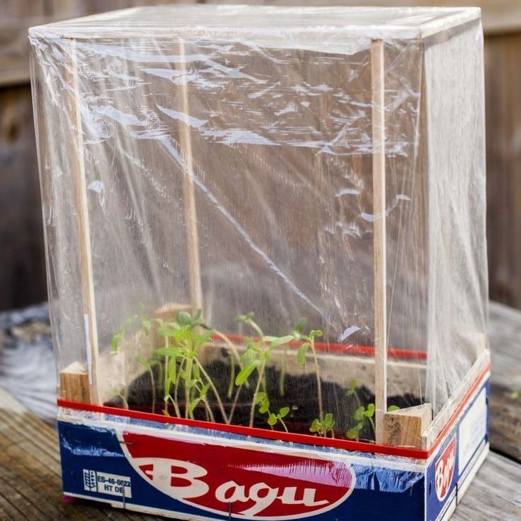 a box with plants in it sitting on top of a wooden table